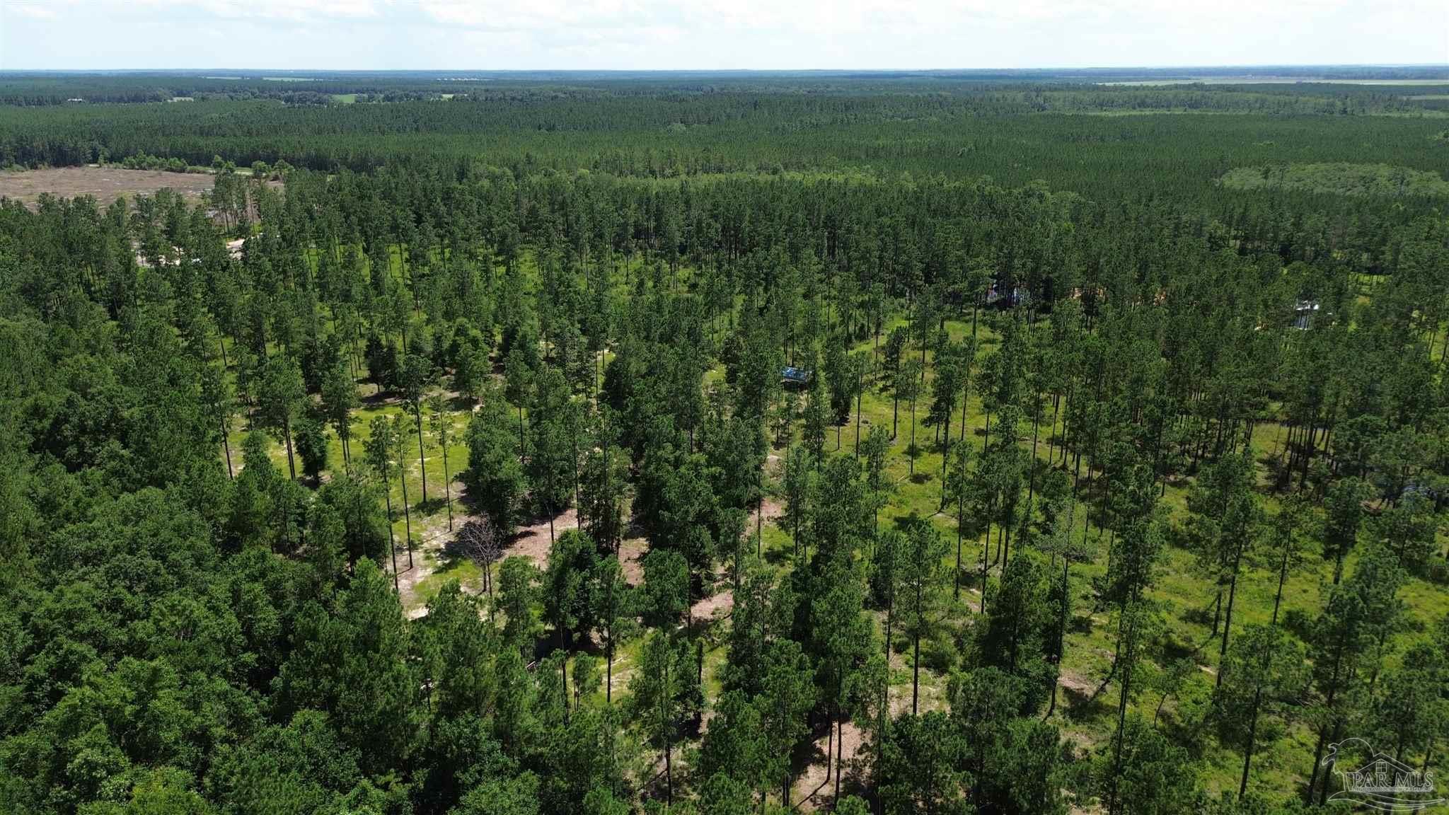 Lot 15 Pineview Church Road Jay, FL 32565 - Photo 9 of 19