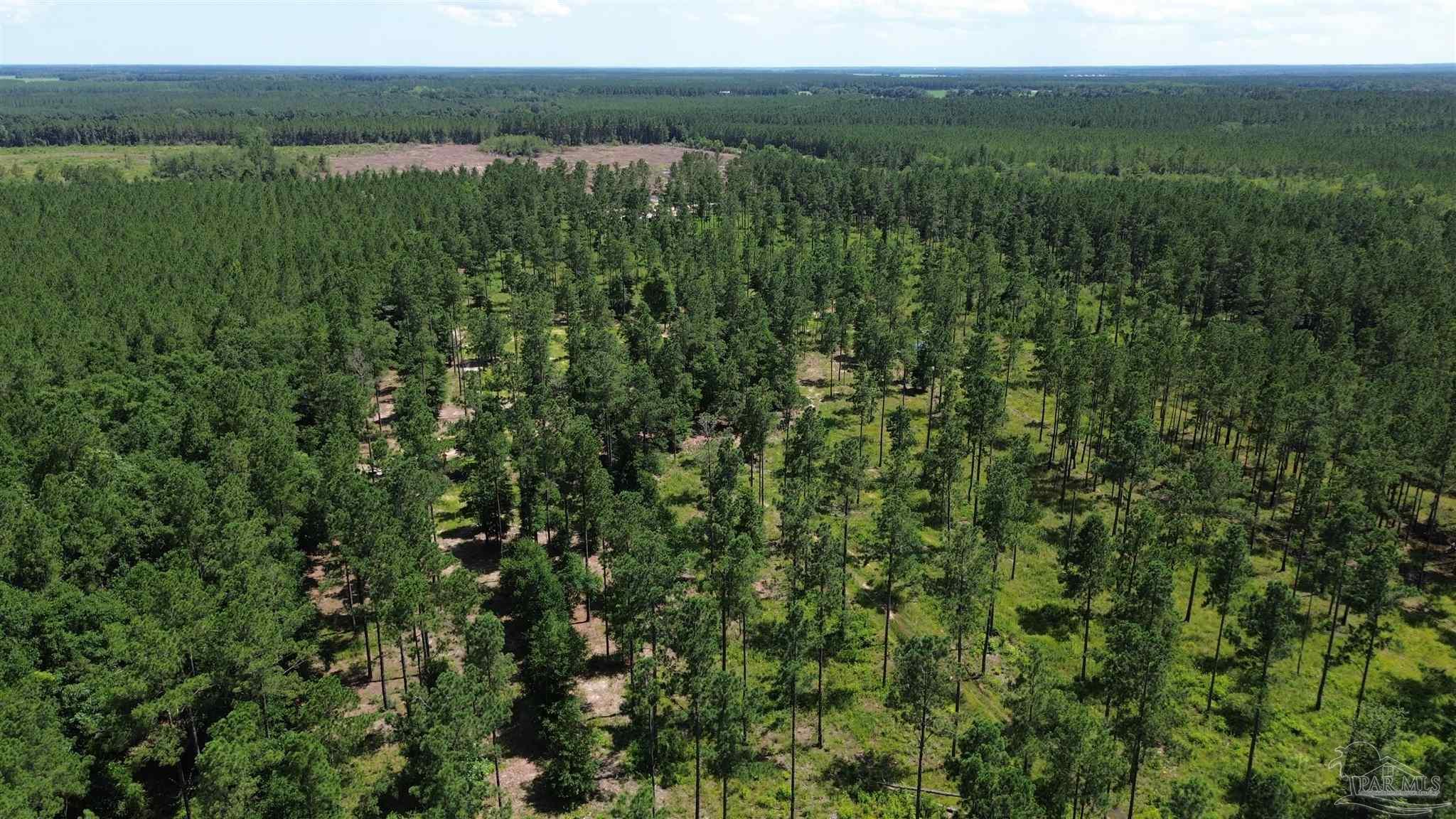 Lot 15 Pineview Church Road Jay, FL 32565 - Photo 10 of 19