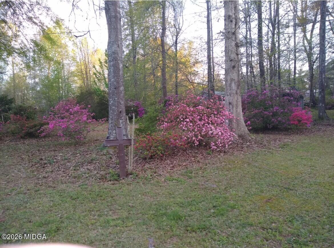 148 Homestead Drive Gray, GA 31032 - Photo 36 of 38 IMG_8437