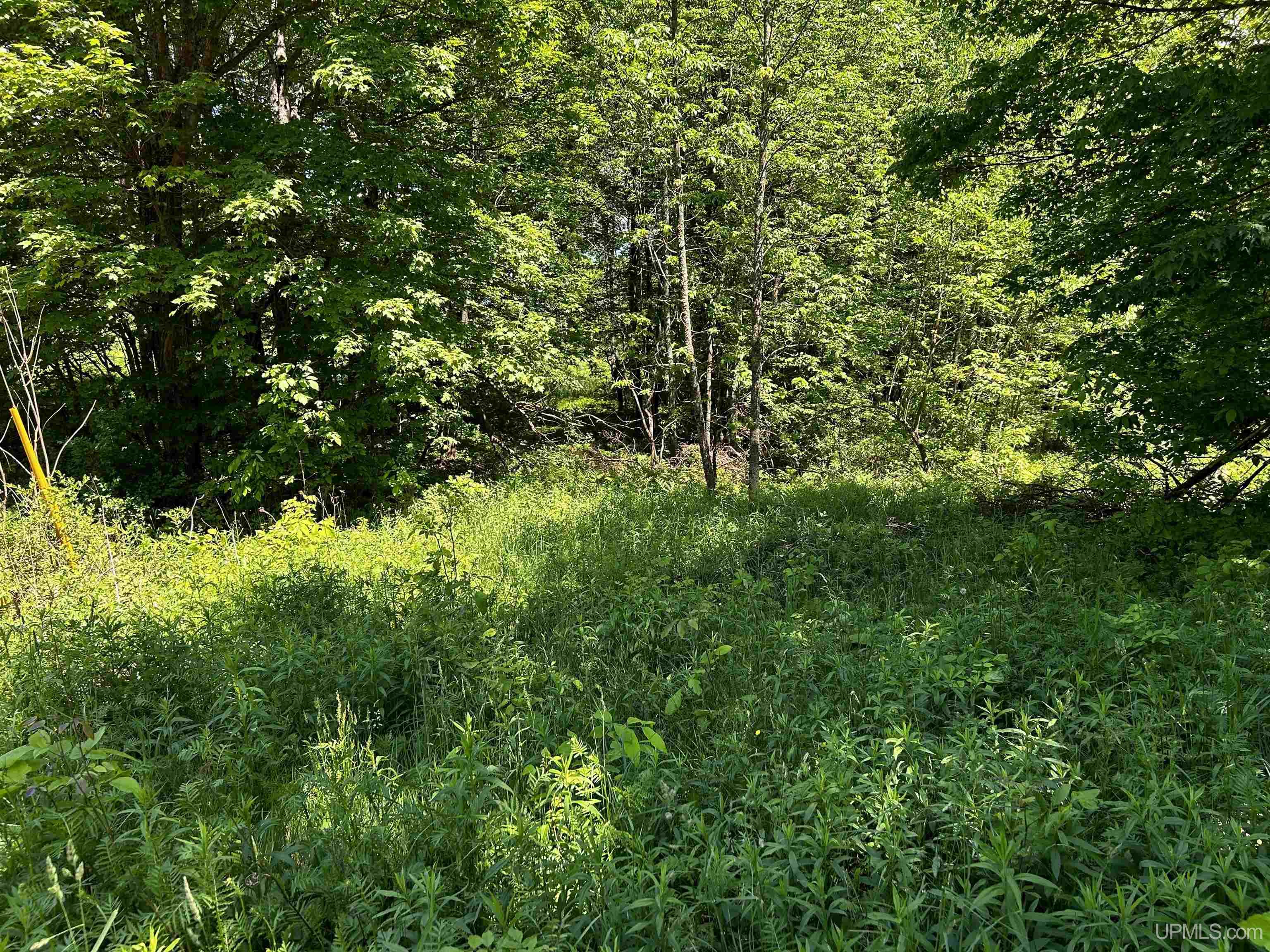 Tbd Tbd Burma Parcel B Road Bessemer, MI 49911 - Photo 6 of 10