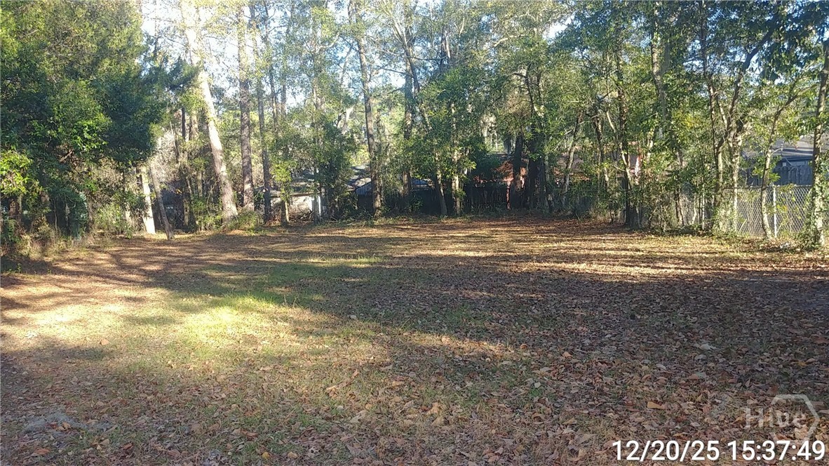 6916 Key Street Savannah, GA 31406 - Photo 19 of 20 yard