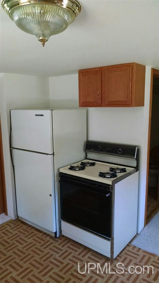 8482 North Gould City Road Curtis, MI 49820 - Photo 3 of 16 Gallery Image 3