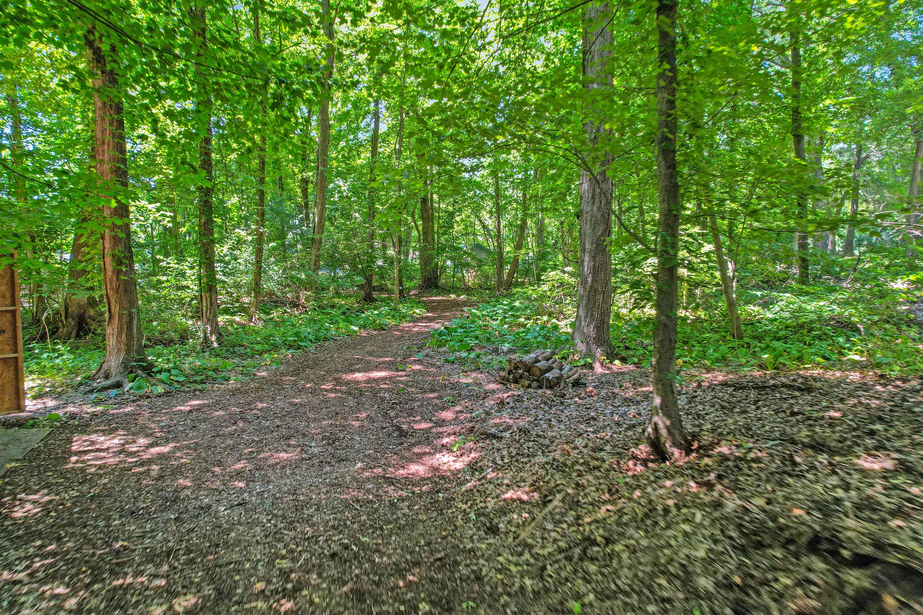 11176 Mcgregor Road Pinckney, MI 48169 - Photo 41 of 49 Path to Channel