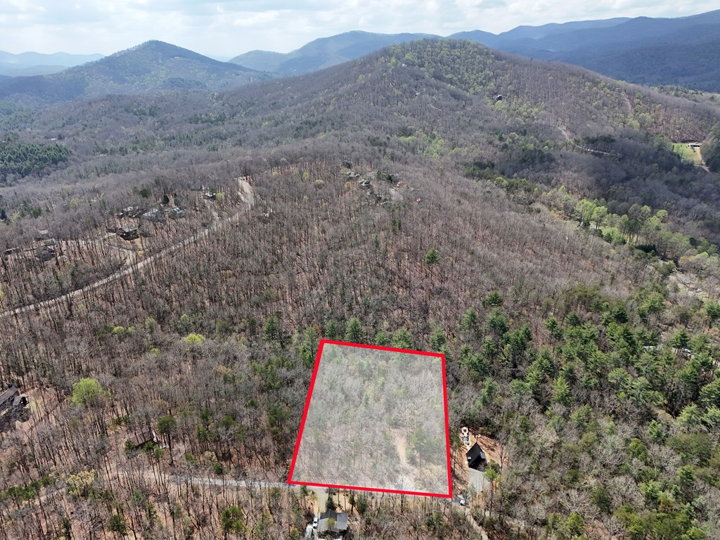 Lot 117 Laurel Trace Blue Ridge, GA 30513 - Photo 19 of 20 Gallery Image 19