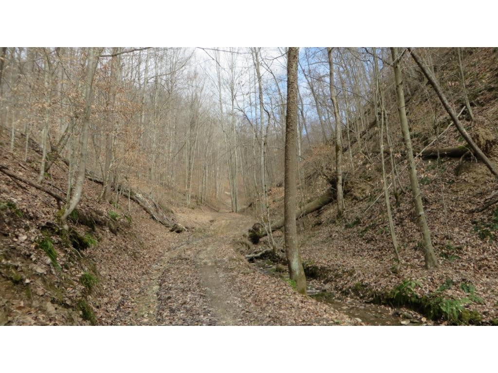 430 Timbertree Branch Road, Unit 2 Kingsport, TN 37660 - Photo 1 of 8 Photo 1