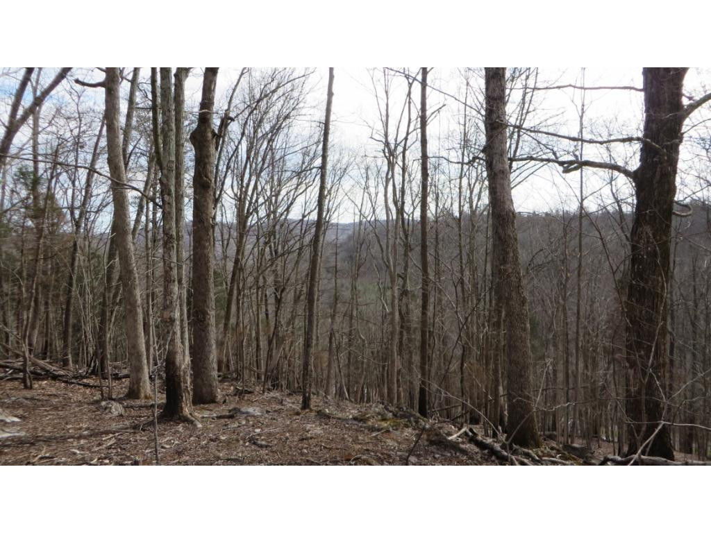 430 Timbertree Branch Road, Unit 2 Kingsport, TN 37660 - Photo 3 of 8 Photo 3