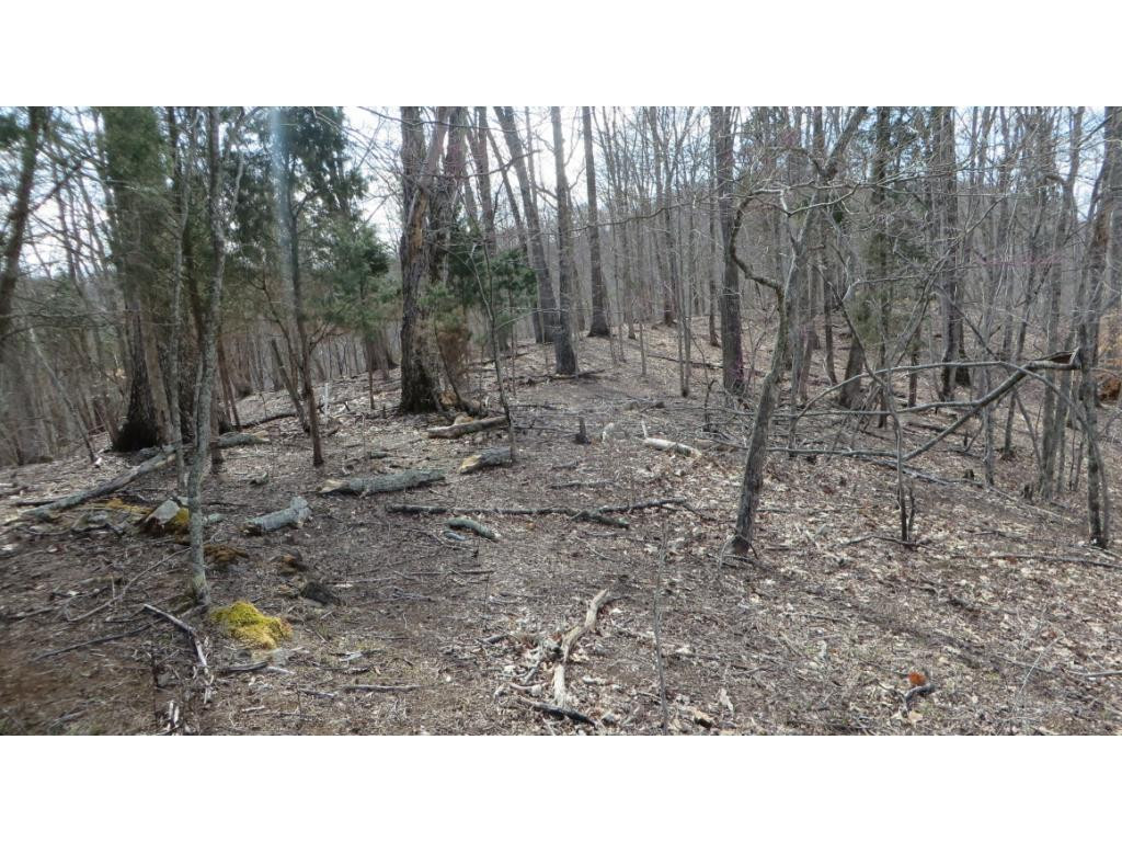 430 Timbertree Branch Road, Unit 2 Kingsport, TN 37660 - Photo 4 of 8 Photo 4