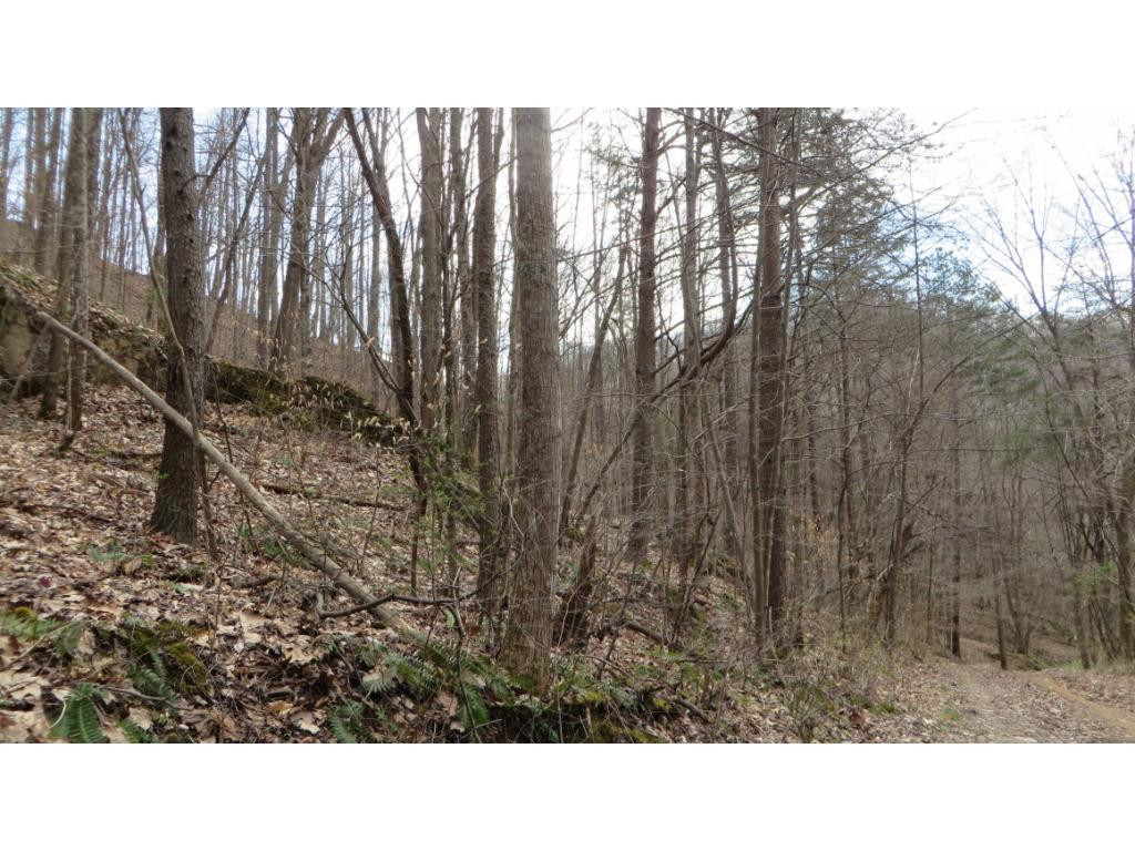 430 Timbertree Branch Road, Unit 2 Kingsport, TN 37660 - Photo 8 of 8 Photo 8