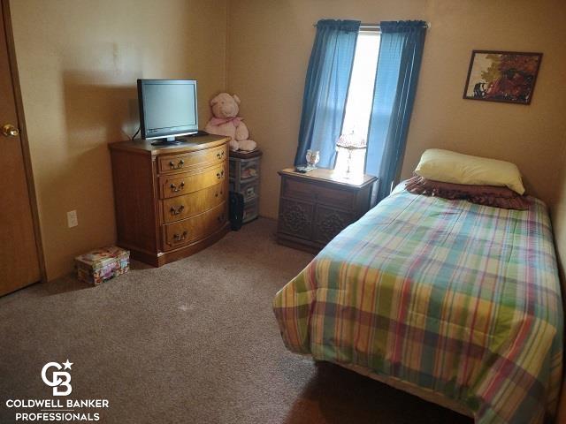 12014 Speaker Road Yale, MI 48097 - Photo 18 of 38 Bedroom 3