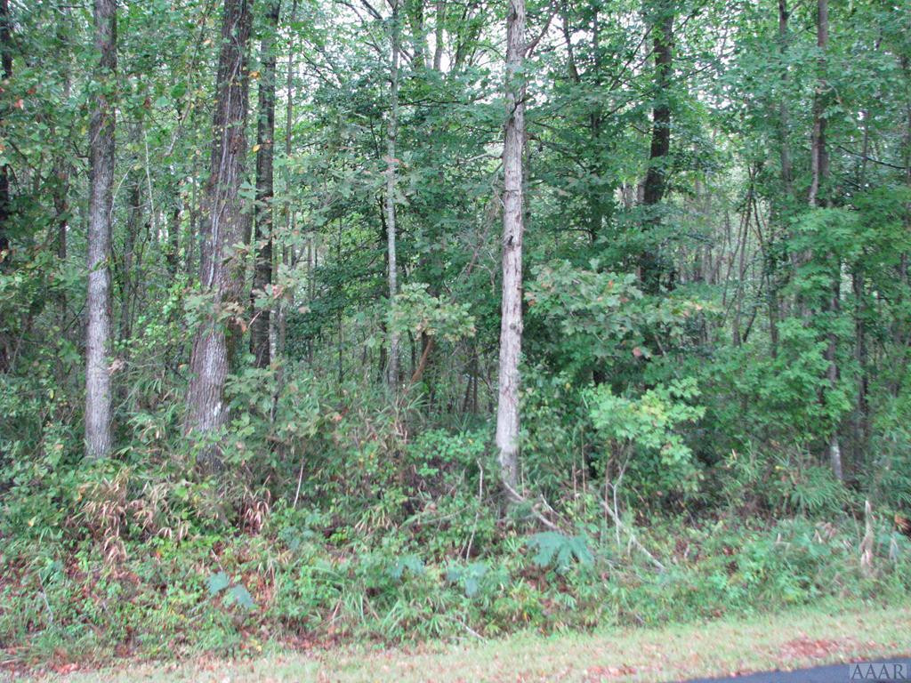 Tbd Backwoods Road Roper, NC 27970 - Photo 1 of 1 Main View