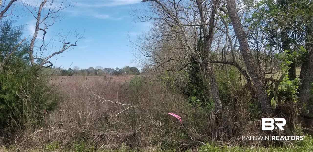 23150 Pate Road Robertsdale, AL 36567 - Photo 2 of 9