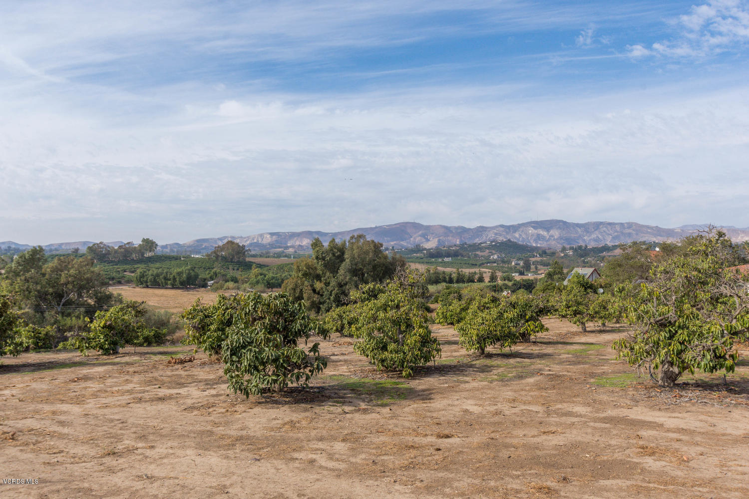 4150 Donlon Road Somis, CA 93066 - Photo 41 of 42 Donlon Topa MLS 2