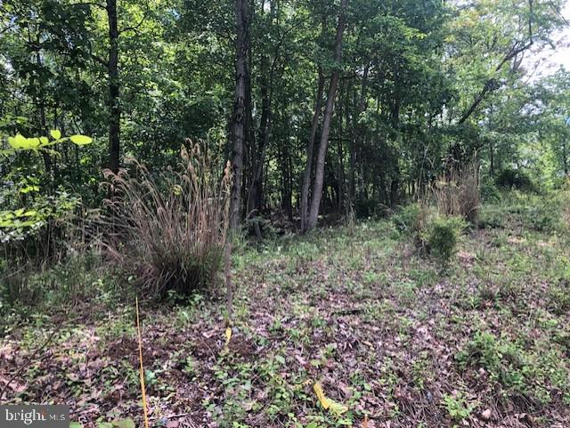 Lot 1 Jones Springs Road Hedgesville, WV 25427 - Photo 1 of 1 a view of outdoor space and green space