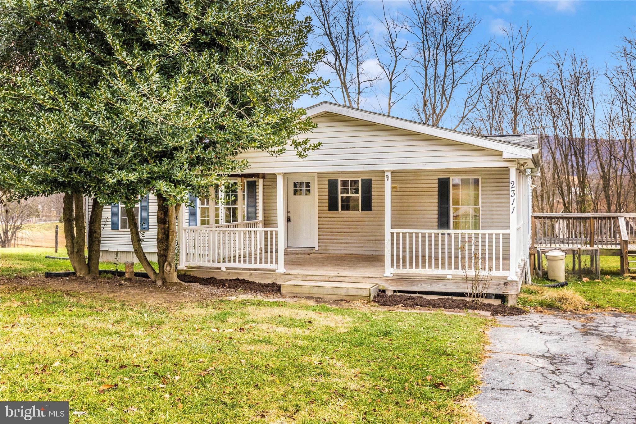a backyard of a house with a tree