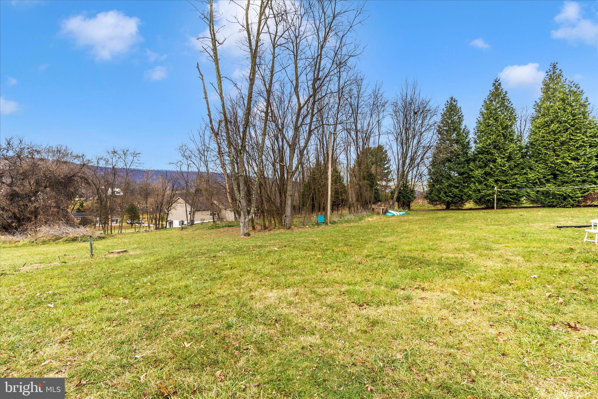 2311 Back Road Sharpsburg, MD 21782 - Photo 35 of 36 a view of a yard with palm trees