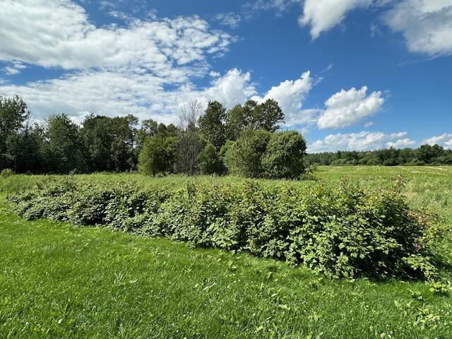 206 Montieth Road Bridgewater, ME 04735 - Photo 105 of 109 IMG_6712