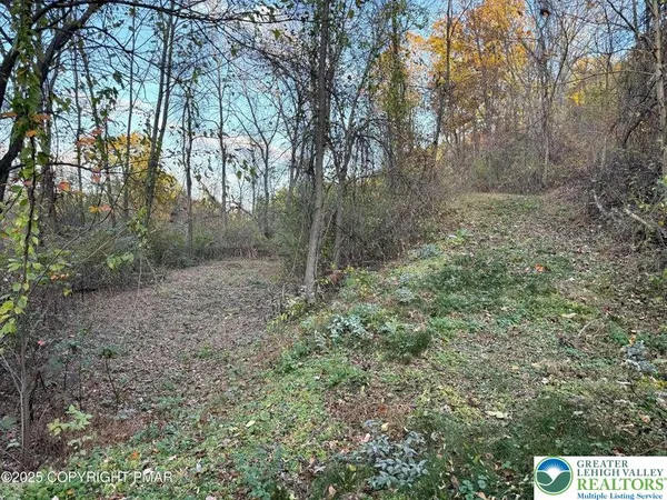 a view of a forest with trees in front of it