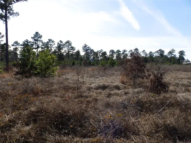 $350,000 | 20175 South S Highway, Flint, TX 75762