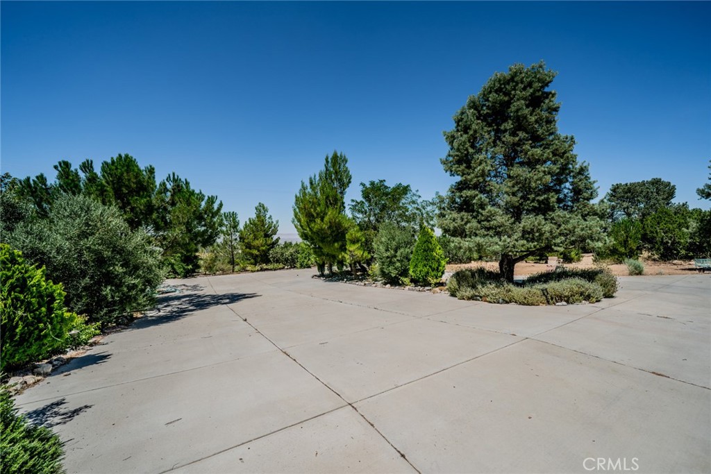 9224 Ponderosa Road Pinon Hills, CA 92372 - Photo 37 of 53