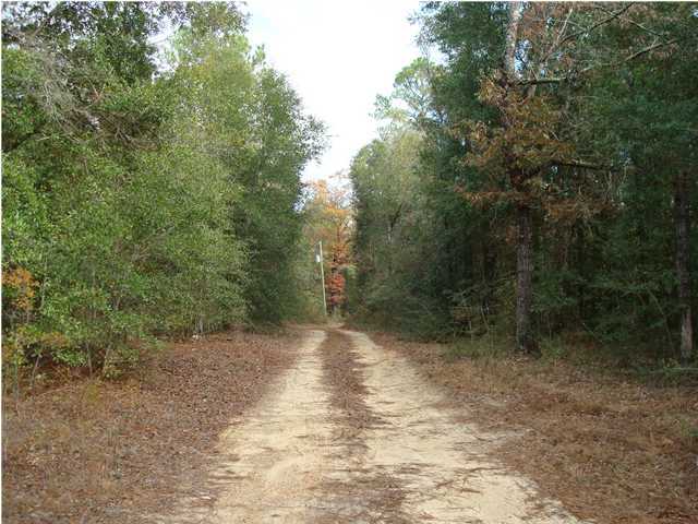 2788 King Lake Road DeFuniak Springs, FL 32433 - Photo 8 of 10 Gallery Image 8