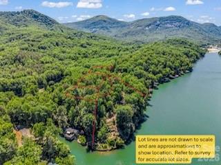 0 East Abbott Road East Lake Lure, NC 28746 - Photo 3 of 9