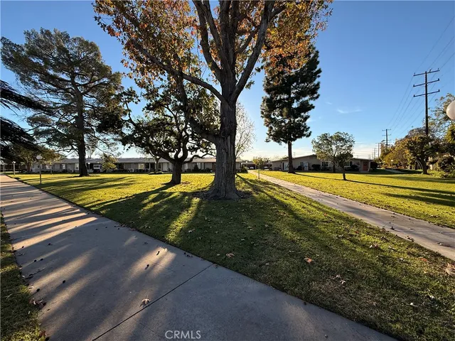 a view of a park with large trees
