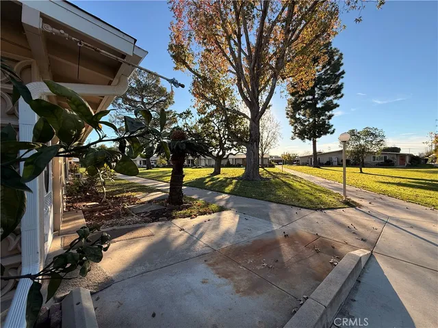a view of a yard with tree s