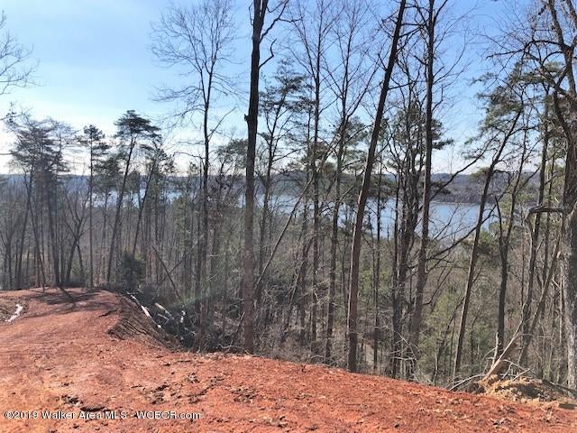297 County Road Cullman, AL 35057 - Photo 3 of 7 Gallery Image 3
