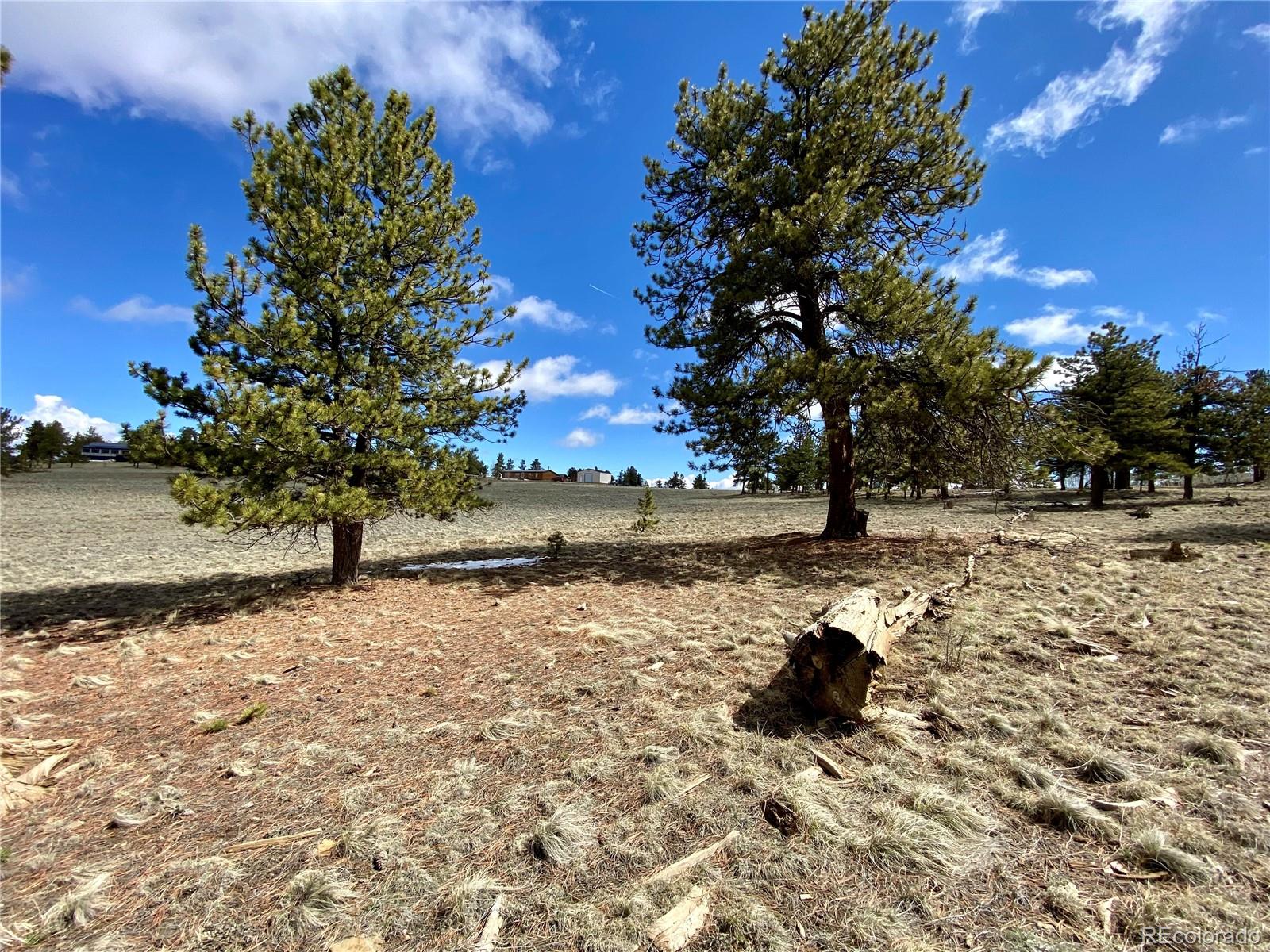 0 Oahu Road Hartsel, CO 80449 - Photo 11 of 47 a view of water with large trees