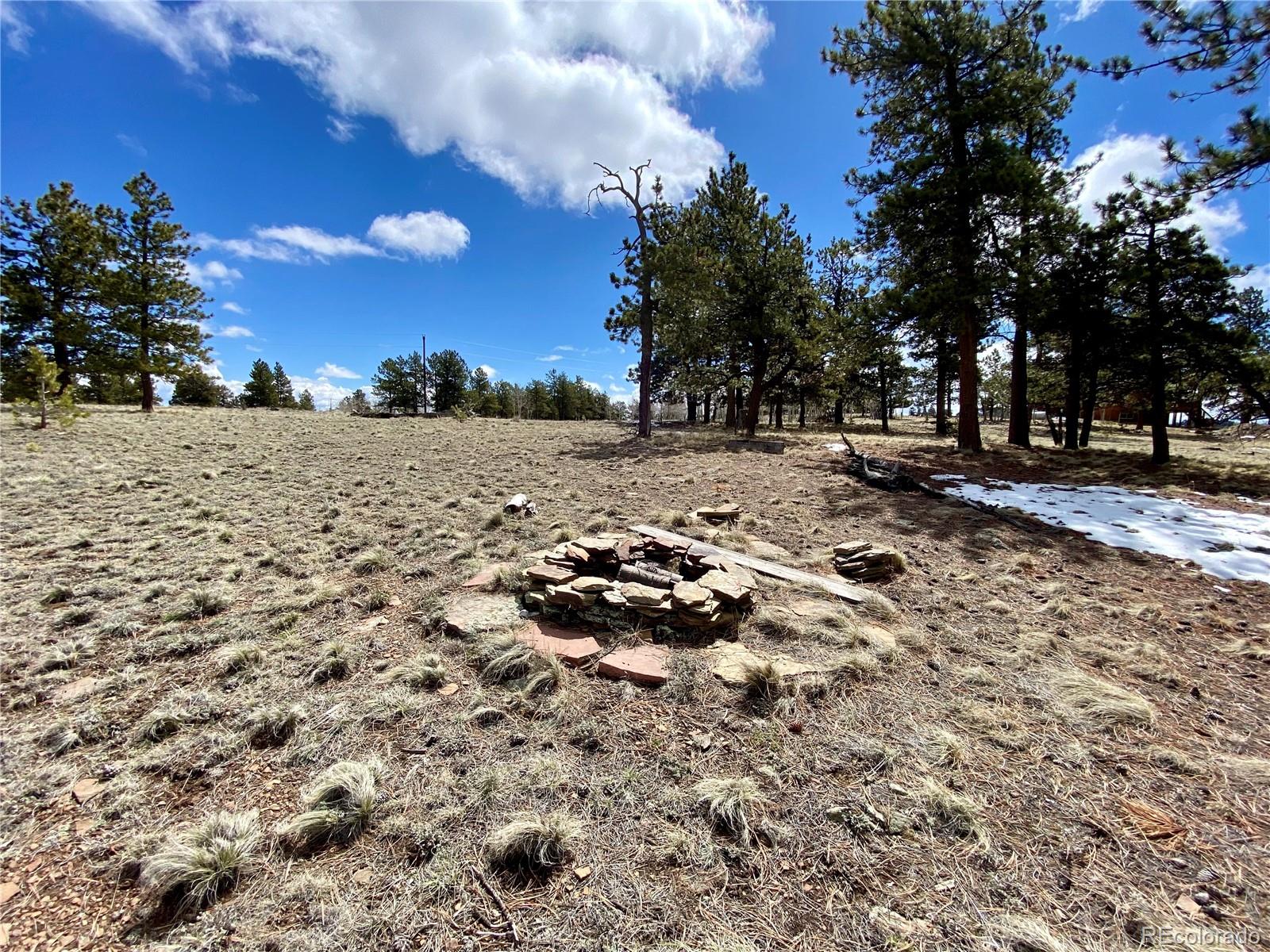 0 Oahu Road Hartsel, CO 80449 - Photo 14 of 47 a view of a yard with a tree