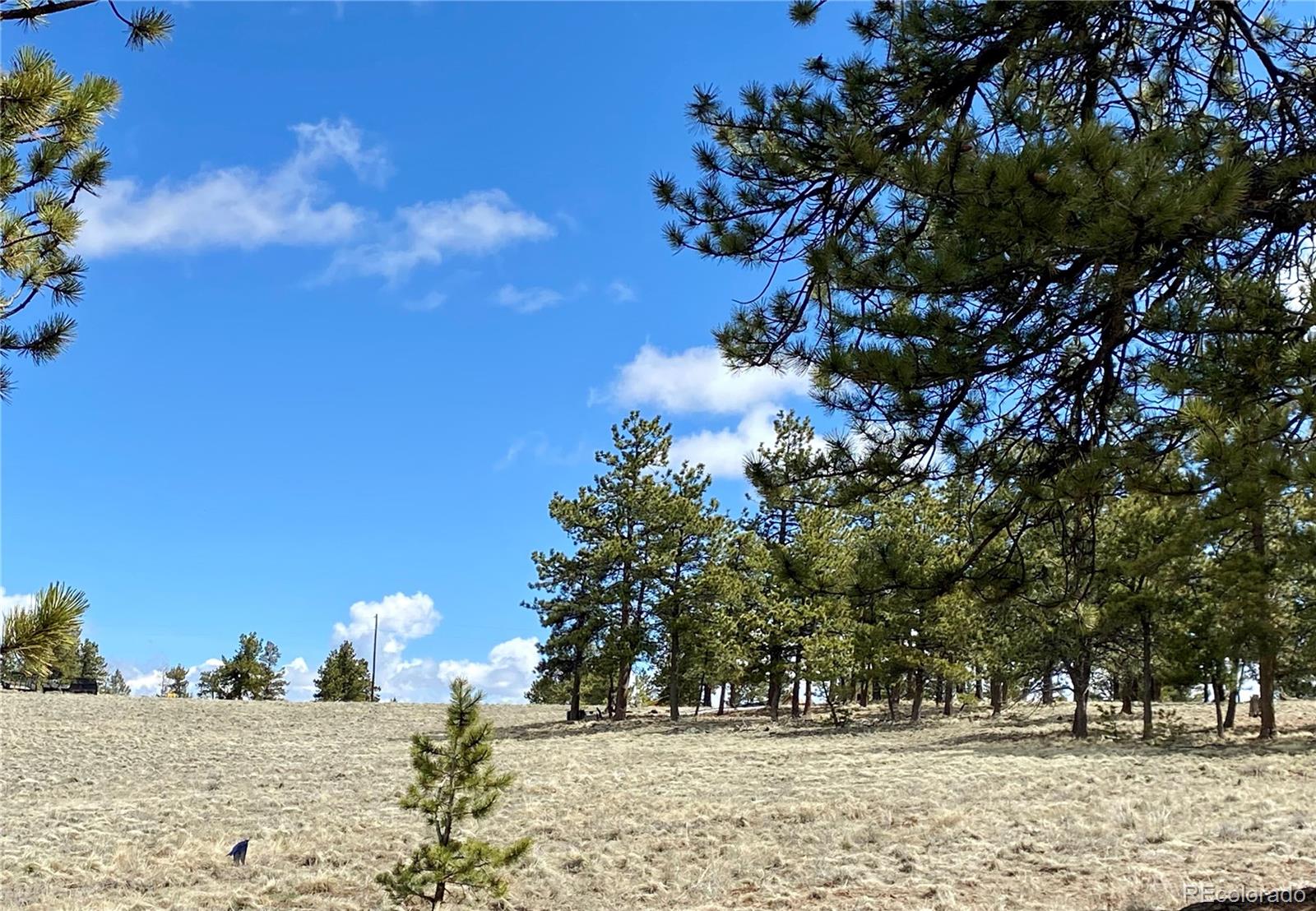 0 Oahu Road Hartsel, CO 80449 - Photo 15 of 47 a view of outdoor space with city view