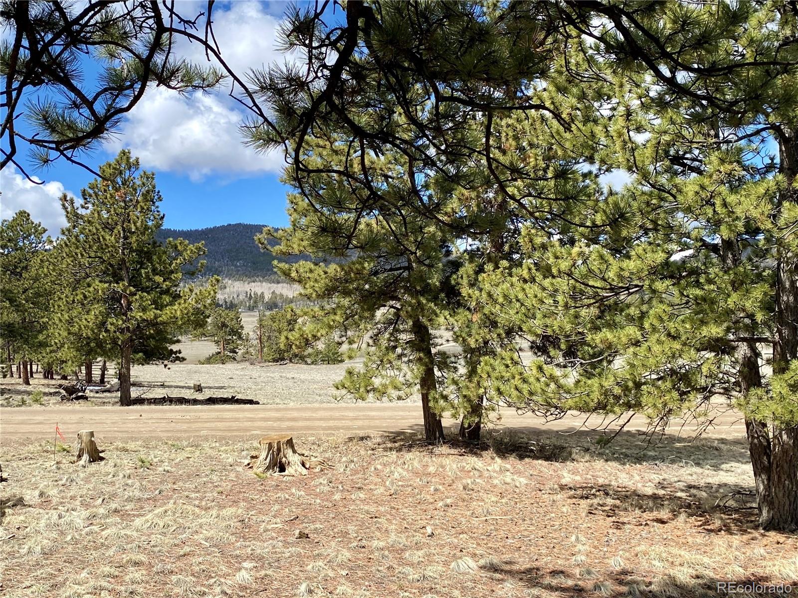 0 Oahu Road Hartsel, CO 80449 - Photo 16 of 47 a view of a yard with a tree