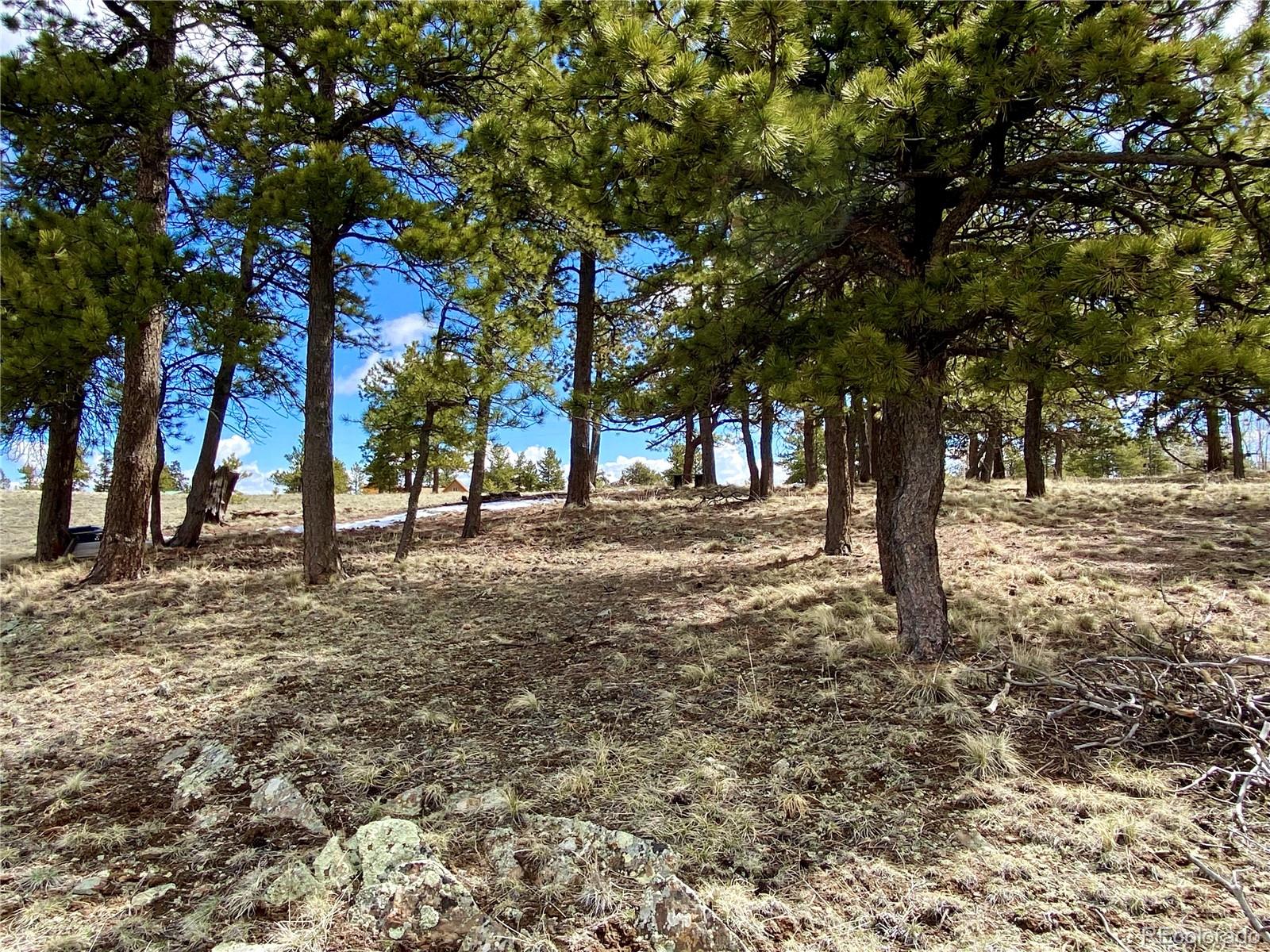 0 Oahu Road Hartsel, CO 80449 - Photo 19 of 47 a view of road with trees