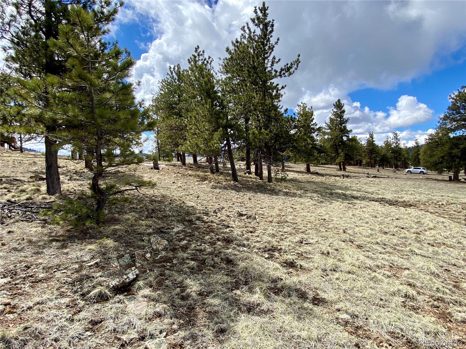 0 Oahu Road Hartsel, CO 80449 - Photo 20 of 47 a view of road with trees