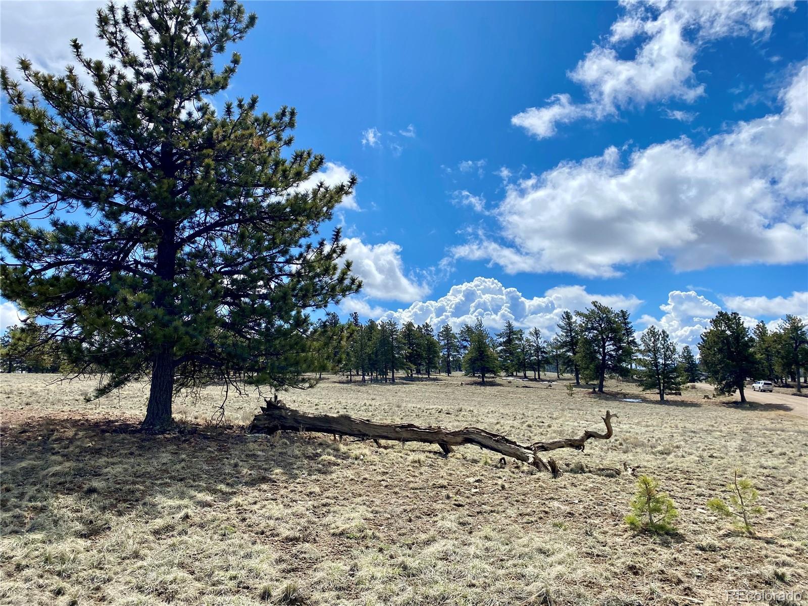 0 Oahu Road Hartsel, CO 80449 - Photo 29 of 47 a view of outdoor space with trees