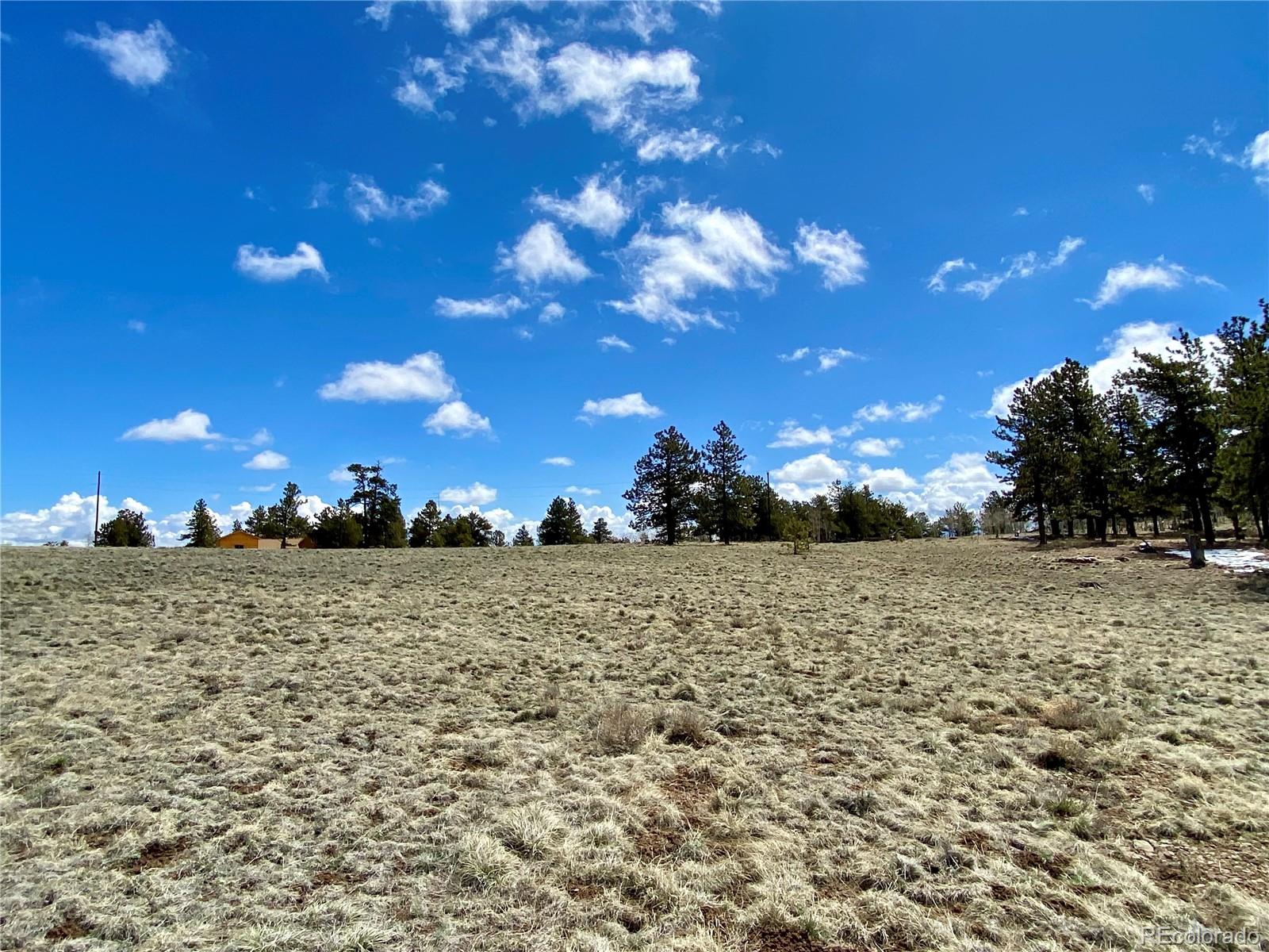 0 Oahu Road Hartsel, CO 80449 - Photo 30 of 47 a view of a yard with a tree