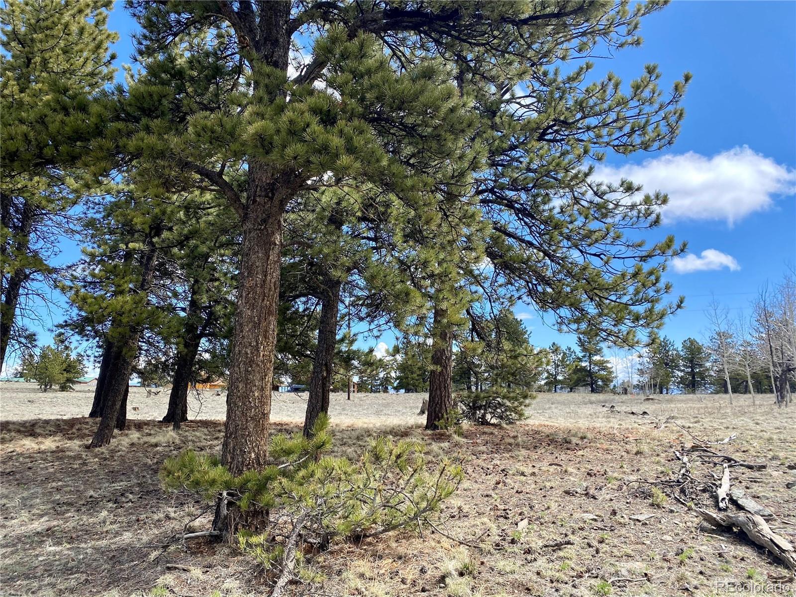 0 Oahu Road Hartsel, CO 80449 - Photo 31 of 47