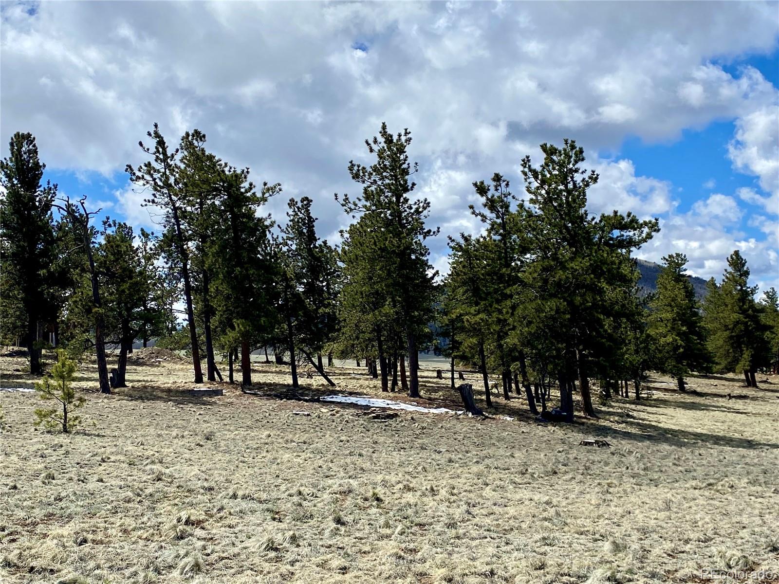 0 Oahu Road Hartsel, CO 80449 - Photo 34 of 47 a view of outdoor space with trees