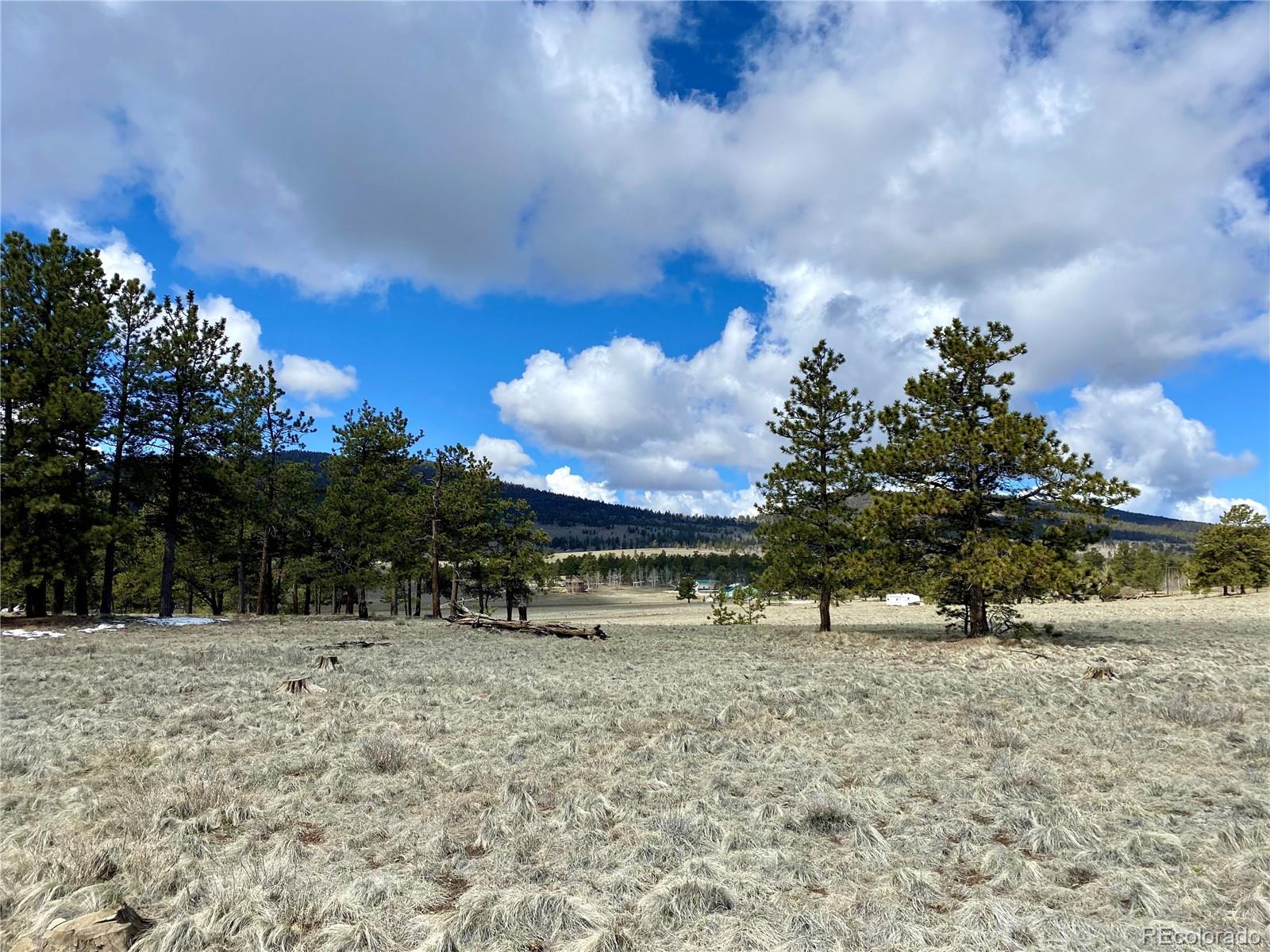 0 Oahu Road Hartsel, CO 80449 - Photo 36 of 47 a view of a yard with a tree