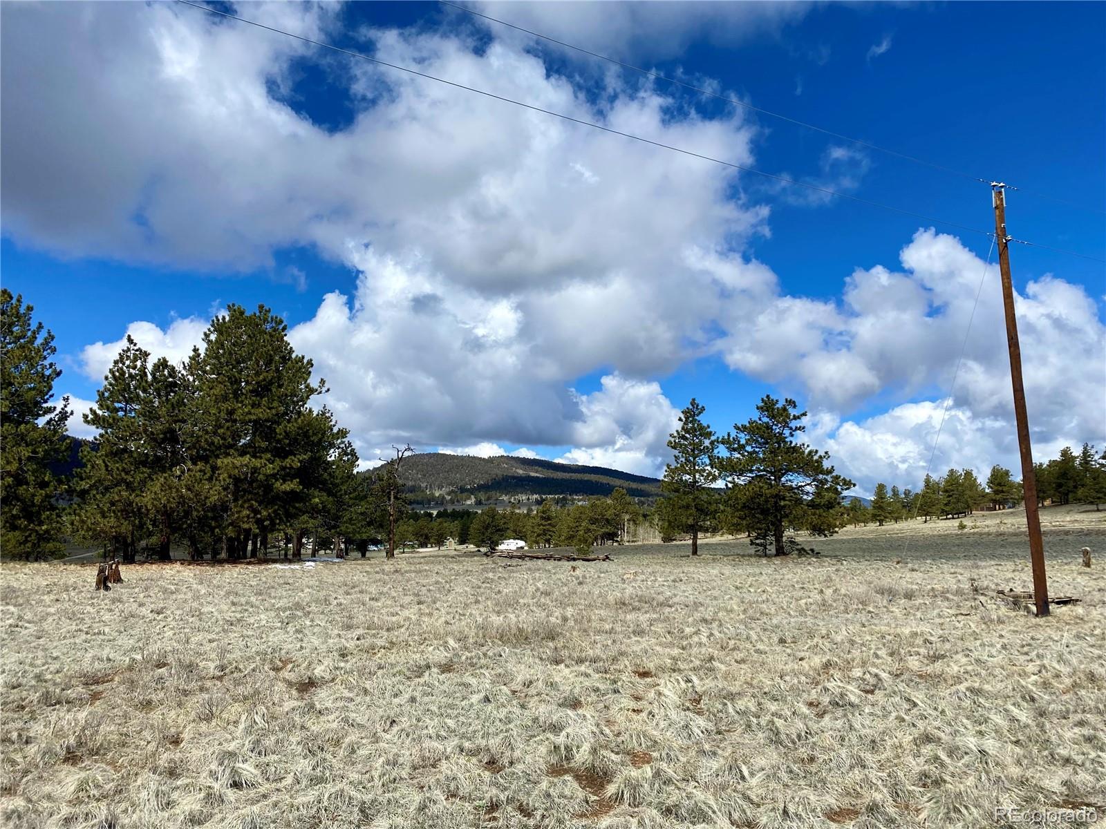 0 Oahu Road Hartsel, CO 80449 - Photo 37 of 47 a view of a yard with wooden fence