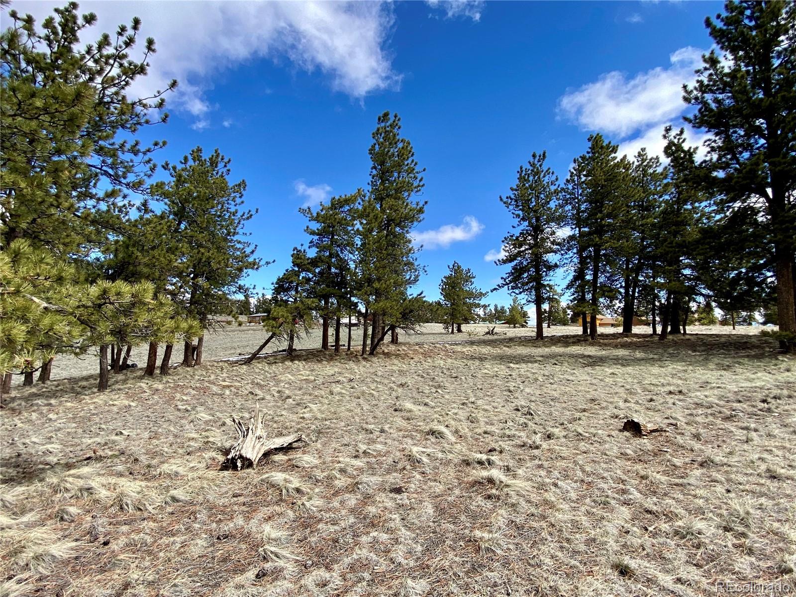 0 Oahu Road Hartsel, CO 80449 - Photo 39 of 47 a view of road and trees