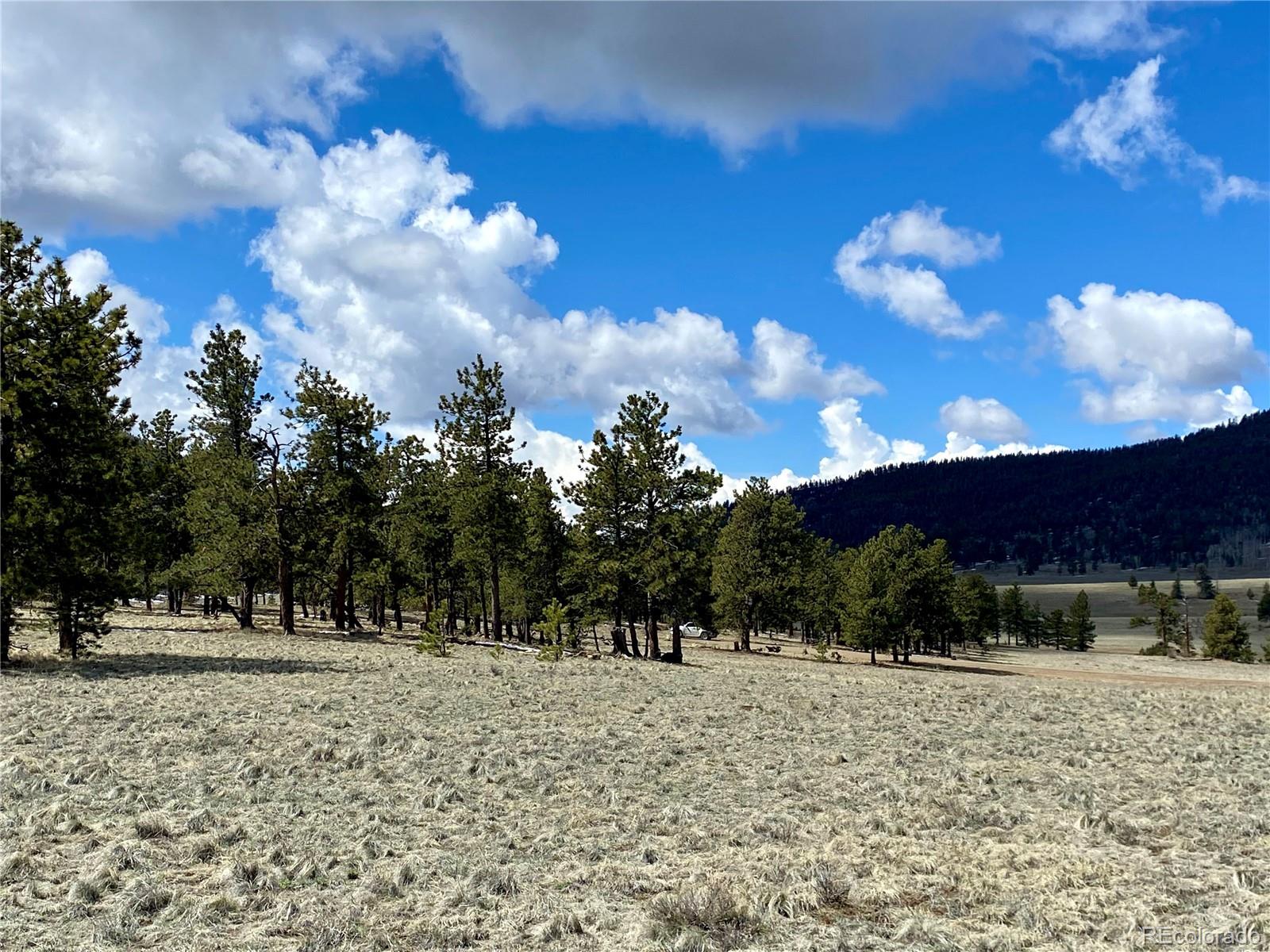 0 Oahu Road Hartsel, CO 80449 - Photo 4 of 47 a view of outdoor space with trees