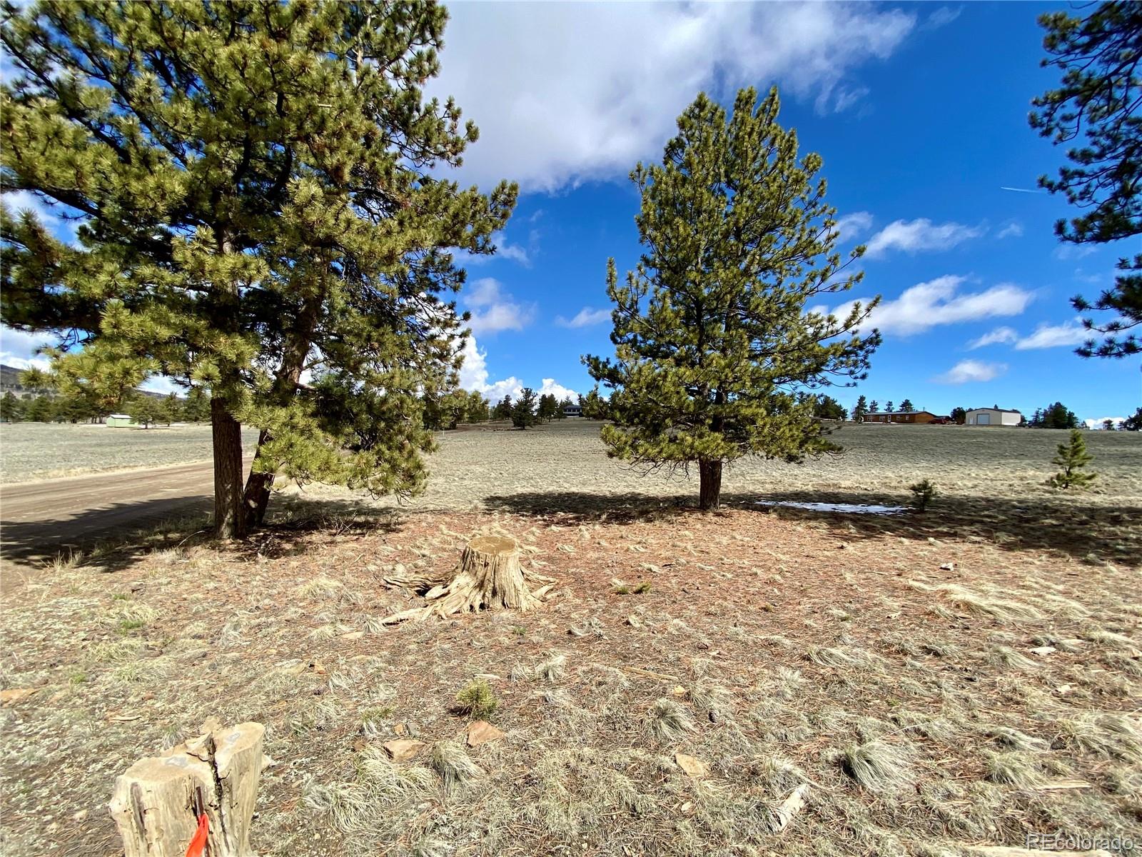 0 Oahu Road Hartsel, CO 80449 - Photo 44 of 47 a view of yard covered with snow in outdoor space