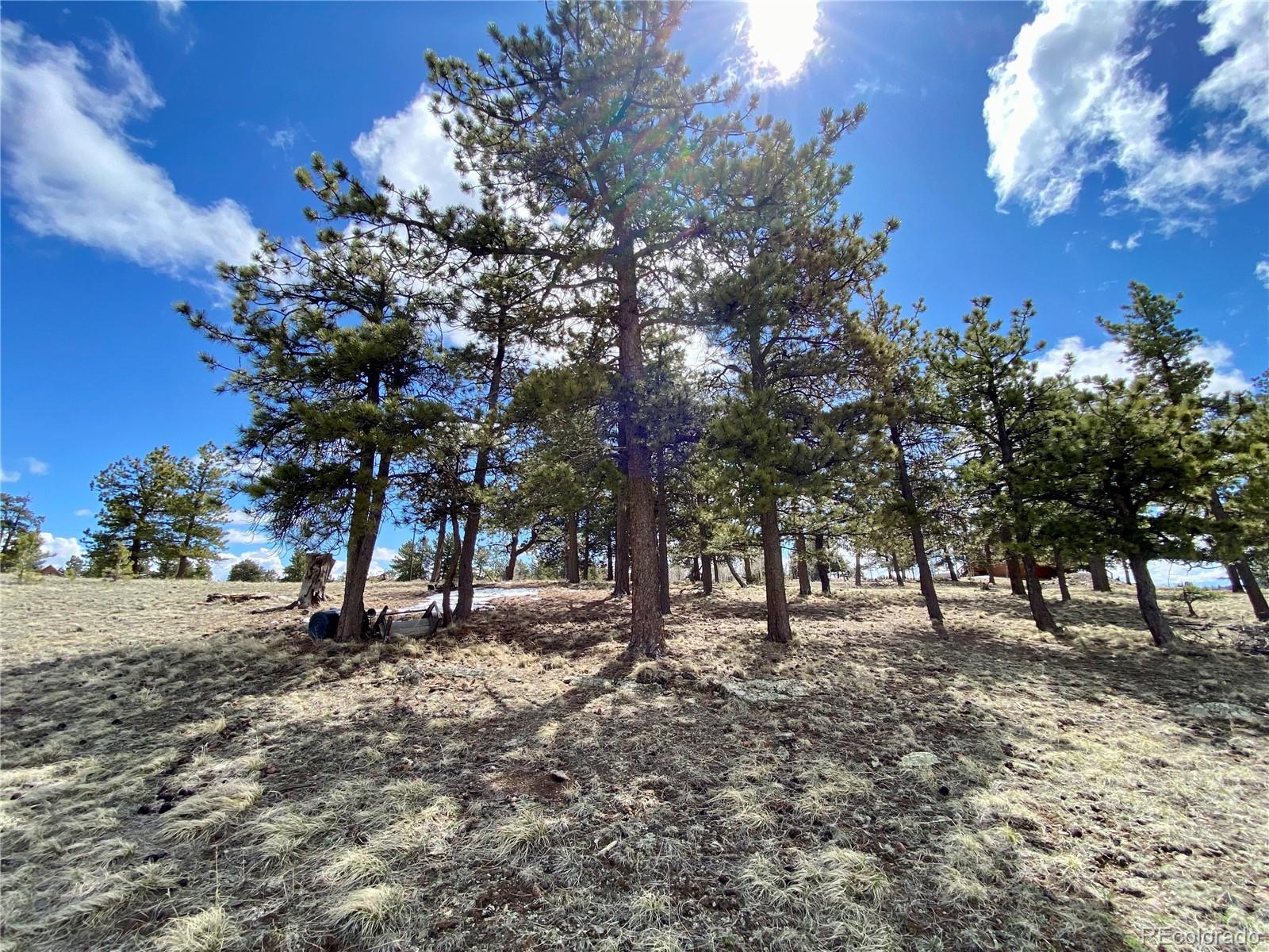 0 Oahu Road Hartsel, CO 80449 - Photo 7 of 47 a view of outdoor space with garden view