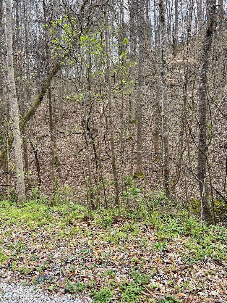 4 Rule Way Sevierville, TN 37876 - Photo 3 of 13 Gallery Image 3