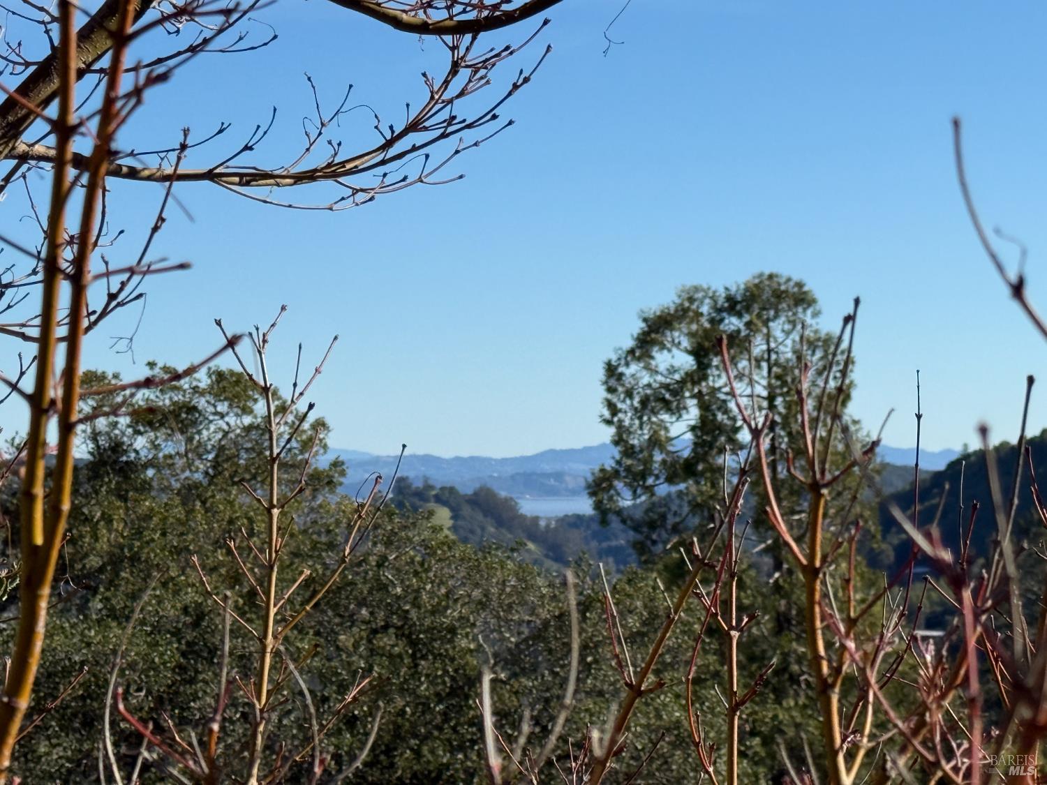 412 Scenic Road Fairfax, CA 94930 - Photo 19 of 24 View of Bay