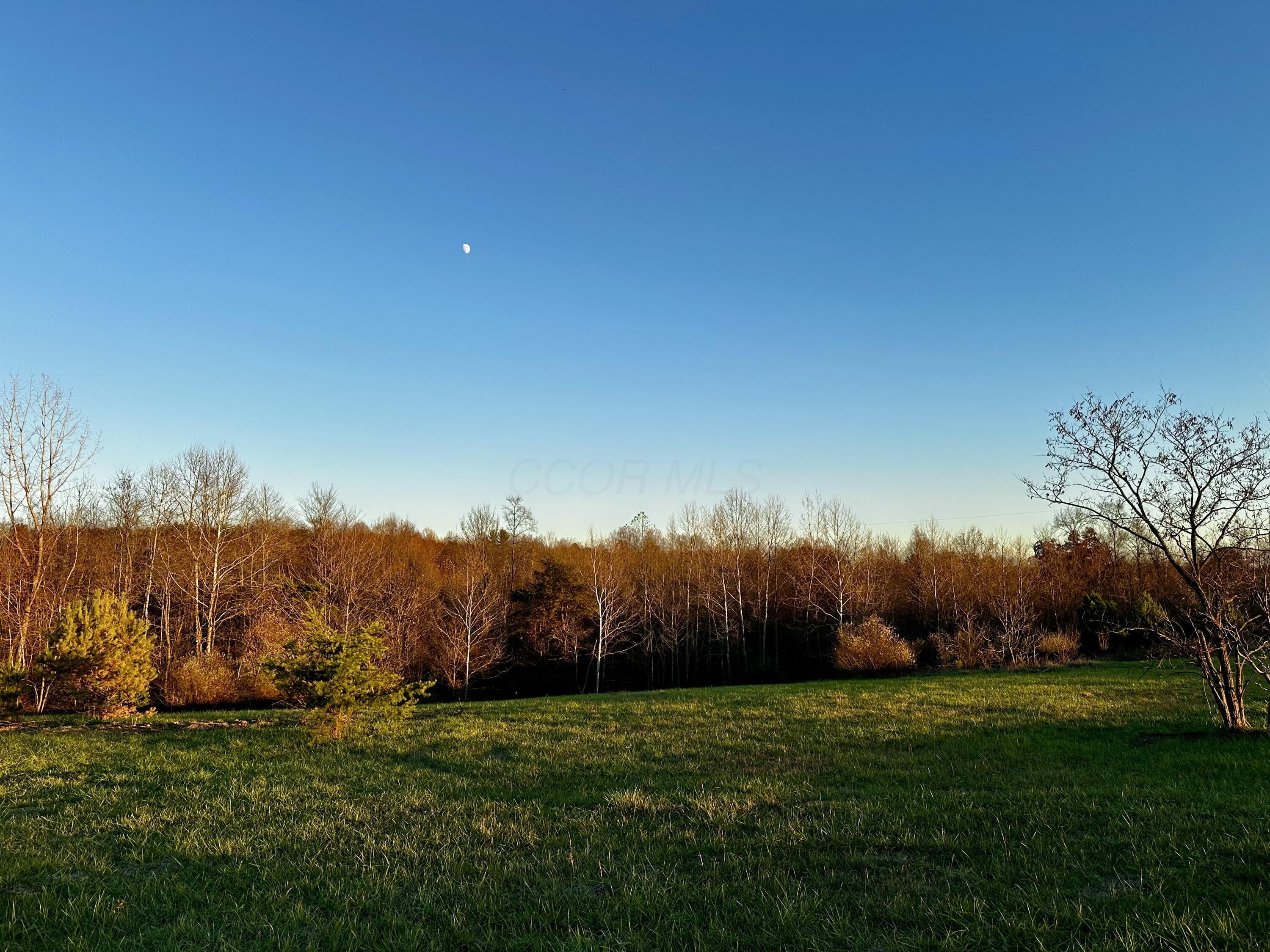 7408 Dutch Ridge Road, Unit TRACT 3 AT DUTCH RIDGE) New Straitsville, OH 43766 - Photo 6 of 29 20241111_215534555_iOS