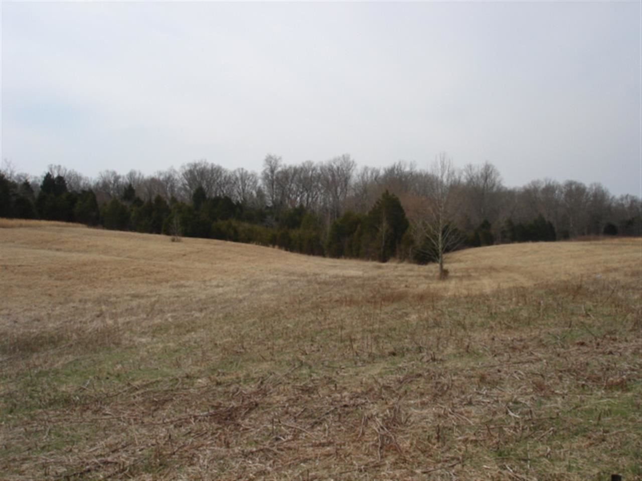 71 Ethington Road Adolphus, KY 42120 - Photo 4 of 7 Gallery Image 4