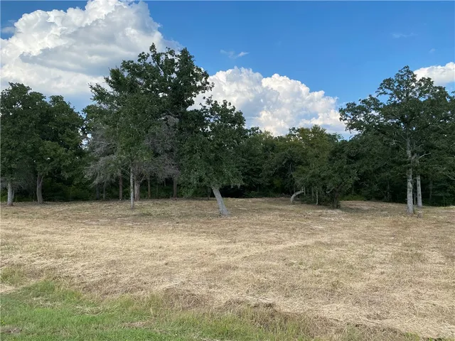 a view of backyard with green space