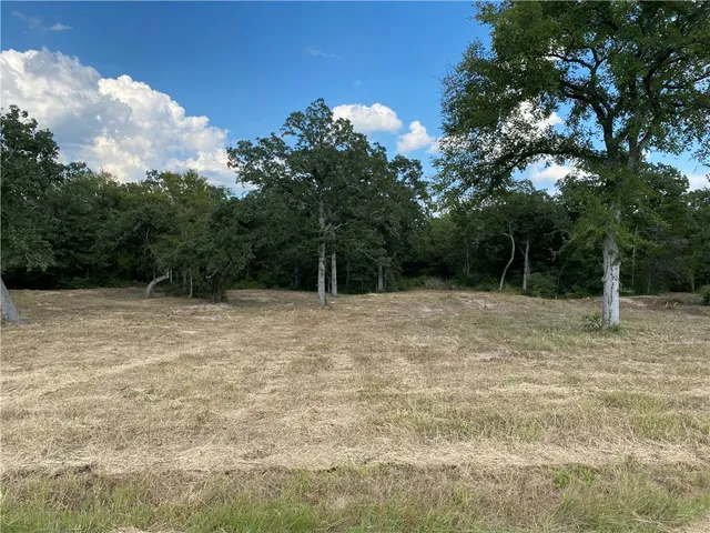a backyard of a house with lots of trees